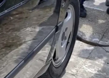 Ναύπακτος: Άνοιξε το καπό του αυτοκινήτου της και βρέθηκε πρόσωπο με πρόσωπο με τεράστιο φίδι! «Σηκώθηκε επιθετικά και πάγωσα»