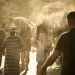 Τι προβλέπουν τα Μερομήνια για το καλοκαίρι – Ποιος θα είναι ο πιο δύσκολος μήνας