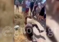 Άγρια ξύλο μεταξύ μαθητριών έξω από σχολείο – Ζητωκραύγαζαν και τραβούσαν βίντεο οι συμμαθητές τους