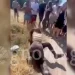 Άγρια ξύλο μεταξύ μαθητριών έξω από σχολείο – Ζητωκραύγαζαν και τραβούσαν βίντεο οι συμμαθητές τους
