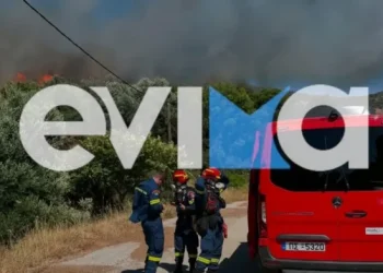 Φωτιά στα Εύβοια: Νέο μήνυμα 112 για εκκένωση – «Απομακρυνθείτε προς Στύρα»