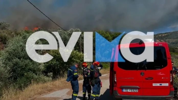 Φωτιά στα Εύβοια: Νέο μήνυμα 112 για εκκένωση – «Απομακρυνθείτε προς Στύρα»