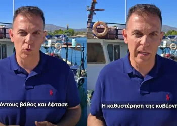 O Καραμέρος κατηγορεί τον Μητσοτάκη και την κυβέρνηση για την εμφάνιση λαγοκέφαλων στις ελληνικές παραλίες