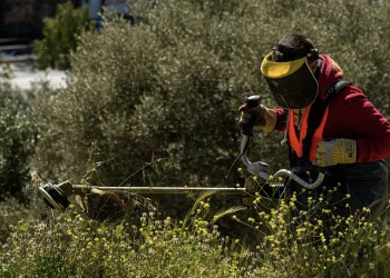 Καθαρισμός οικοπέδων: «Φρένο» υπουργείου στην παράταση – Στα ύψη τα πρόστιμα για τους ξεχασιάρηδες