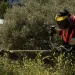 Καθαρισμός οικοπέδων: «Φρένο» υπουργείου στην παράταση – Στα ύψη τα πρόστιμα για τους ξεχασιάρηδες
