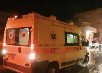 Τραγωδία στην Εύβοια: Πέθανε ξαφνικά 21χρονη – Είχε δεχθεί τσίμπημα σφήκας νωρίτερα