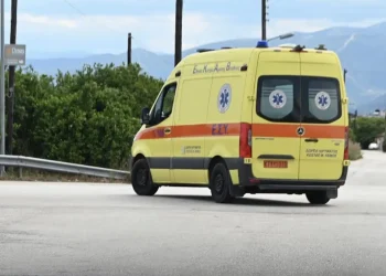 Nεκρός 75χρονος που δέχθηκε επίθεση από άλογο ενώ πήγαινε να αγοράσει καφέ