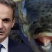 Τόσο ευρώ το κιλό η επιδότηση – Έρχεται σοβαρό σχέδιο από την ελληνική κυβέρνηση για καθαρισμό των ελληνικό θαλασσών από τους λαγοκέφαλους