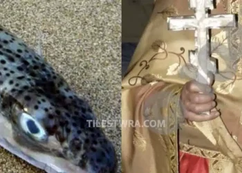 Στη μάχη για τους λαγοκέφαλους και η εκκλησία – Άρχισαν δεήσεις για να σταματήσει η εξάπλωση τους