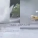 Συγκλονιστικές εικόνες από την πτώση του πυροσβεστικού ελικοπτέρου στη λίμνη Αώου – Διασώθηκε το πλήρωμα