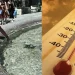 Τι γίνεται στον εγκέφαλο μας όταν έχει καύσωνα – Γιατί έχουμε αύξηση στον εκνευρισμό, το άγχος, και την επιθετικότητα