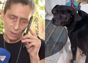 Συγκλονίζει η γυναίκα που o σκύλος της πέθανε στα Πετράλωνα – «Έχασα το μοναδικό μου στήριγμα»
