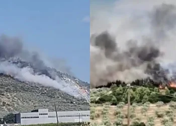 Φωτιά στο Σπαθοβούνι Κορινθίας – Ήχησε το 112 γα ετοιμότητα