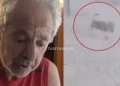 Άγρια επίθεση σκύλου σε 66χρονο στα Βόρεια Προάστια – Τον τραυμάτισε σοβαρά, νεκρό το κατοικίδιο του – «Η ζωή μου όλη ο Μαξ» λέει ο ίδιος