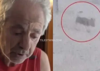 Άγρια επίθεση σκύλου σε 66χρονο στα Βόρεια Προάστια – Τον τραυμάτισε σοβαρά, νεκρό το κατοικίδιο του – «Η ζωή μου όλη ο Μαξ» λέει ο ίδιος