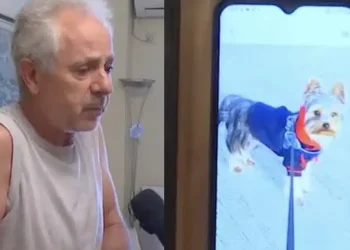 Συγκινεί ο 66χρονος στα Βριλήσσια: «Τι να την κάνω την σύγγνωμη; Εμένα έφυγε το ζωάκι μου; Έφυγε» – Τι δηλώνει η ιδιοκτήτρια του άλλου σκύλου
