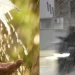 Καιρός: Ραγδαία αλλαγή – Οι περιοχές που θα χτυπήσει πρώτο το νέο κύμα κακοκαιρίας