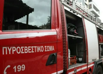 Νεκρός πυροσβέστης στο Γύθειο – Δεν επιχειρούσε στην κατάσβεση, βρέθηκε εκτός της περιμέτρου της πυρκαγιάς