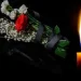 Διπλή τραγωδία στα Χανιά: Νεκροί δυο νέοι μετά από τροχαίο με μηχανή στην εθνική οδό