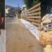 Θρήνος στα Μάλια για τον 27χρονο Δημήτρη — Έχασε τη ζωή του σε σοκαριστικό τροχαίο
