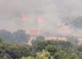 Σε συναγερμό η Βοιωτία: Εκκενώνονται οικισμοί μέσω θαλάσσης – Αναφορές για εγκλωβισμένους