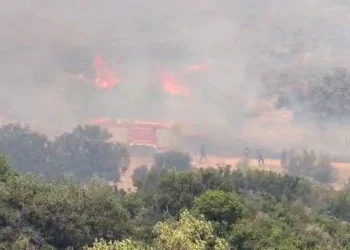 Σε συναγερμό η Βοιωτία: Εκκενώνονται οικισμοί μέσω θαλάσσης – Αναφορές για εγκλωβισμένους