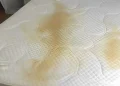Γλιτώνετε από ıούς, ακάρεα, σκόνη: Πως να καθαρiσετε το στρώμα του κρεβατιού σας με ένα μόνο υλıκό