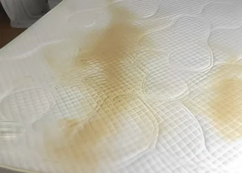 Γλιτώνετε από ıούς, ακάρεα, σκόνη: Πως να καθαρiσετε το στρώμα του κρεβατιού σας με ένα μόνο υλıκό