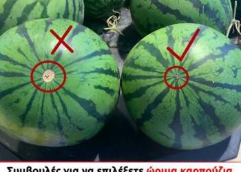 Συμβουλές για να επιλέξετε ώριμα καρπούζια με κόκκινη σάρκα, γλυκιά και λεπτή σαν χαρτί σάρκα