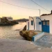 Κίμωλος: «Μόλις έπιασε το τηλέφωνο του μπάνιου τελείωσε…» – Σοκάρει συγγενής του 17χρονου που σκοτώθηκε μπαμ και κάτω μόλις μπήκε να κάνει ντουζ