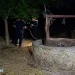 Πήγε στο αγρόκτημά του να ποτίσει και βρέθηκε νεκρός μέσα σε πηγάδι