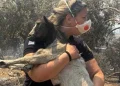 Βοιωτία: Η διοικήτρια του Α.Τ. Μάνδρας έσωσε κατσικάκι από τις φλόγες