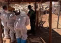 Κρήτη: Πρώτος μαζικός έλεγχος της ΑΑΔΕ για τις αγροτικές επιδοτήσεις – Δεν προσήλθαν οι 120 από τους 195 κτηνοτρόφους