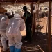 Κρήτη: Πρώτος μαζικός έλεγχος της ΑΑΔΕ για τις αγροτικές επιδοτήσεις – Δεν προσήλθαν οι 120 από τους 195 κτηνοτρόφους