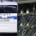 Έπαθε ηλεκτροπληξία ενώ έκλεβε καλώδια – Τον παράτησαν νεκρό σε αυτοκίνητο