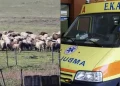 Θλίψη: Τον έβαλαν να θανατώσει τα ζώα του και πέθανε από την στεναχώρια του