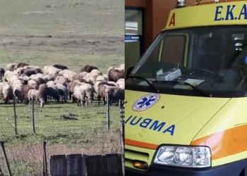 Θλίψη: Τον έβαλαν να θανατώσει τα ζώα του και πέθανε από την στεναχώρια του