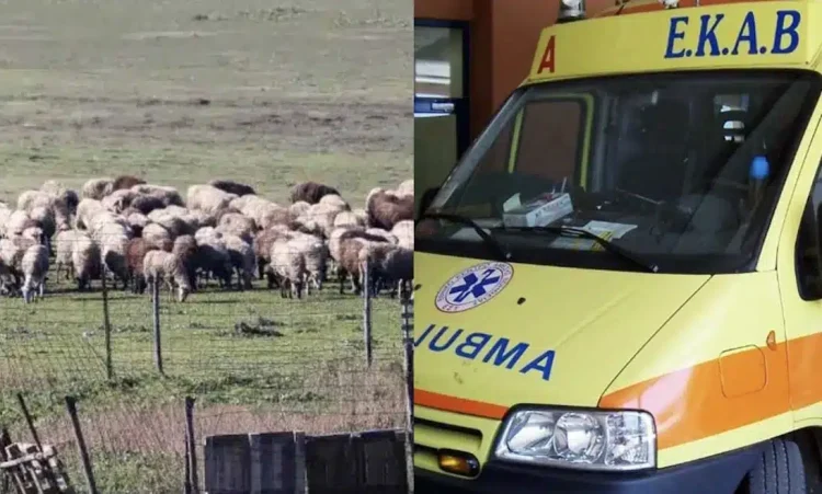 Θλίψη: Τον έβαλαν να θανατώσει τα ζώα του και πέθανε από την στεναχώρια του