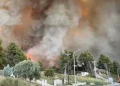 Μεγάλη φωτιά στη Χαλκιδική – Δίπλα σε σπίτια οι φλόγες – Eκκενώθηκαν Σίβηρη και Φούρκα