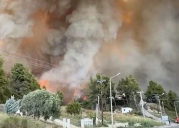 Μεγάλη φωτιά στη Χαλκιδική – Δίπλα σε σπίτια οι φλόγες – Eκκενώθηκαν Σίβηρη και Φούρκα