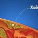 Χοληστερίνη: 2 φυσικές τροφές που τη μειώνουν αποτελεσματικά – Δρουν σαν τις στατίνες