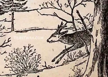 Αν μπορείτε να εντοπίσετε τον άντρα, ο εγκέφαλός σας είναι σε εξαιρετική φόρμα