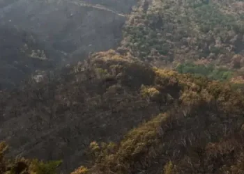 «Επίδομα μετακόμισης» έως 10.000 ευρώ – Ποιοι το δικαιούνται