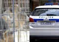 Είχε στο σπίτι της 120 σκυλιά, 70 γάτες και… 10 κατσίκες – Συνελήφθη 54χρονη